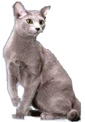 Bleu Russe