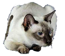 Thaï